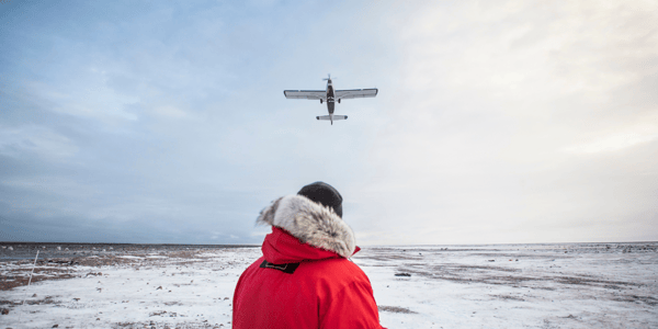 Polar Bear Migration Fly-In Safari