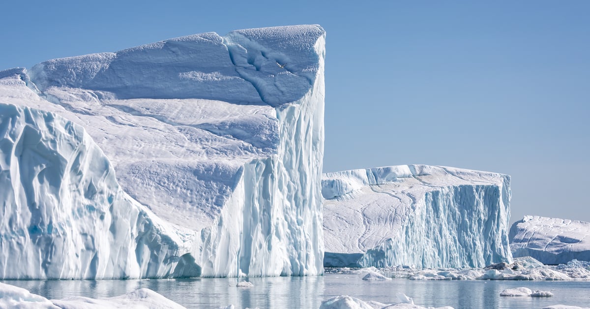 polar bears and glaciers