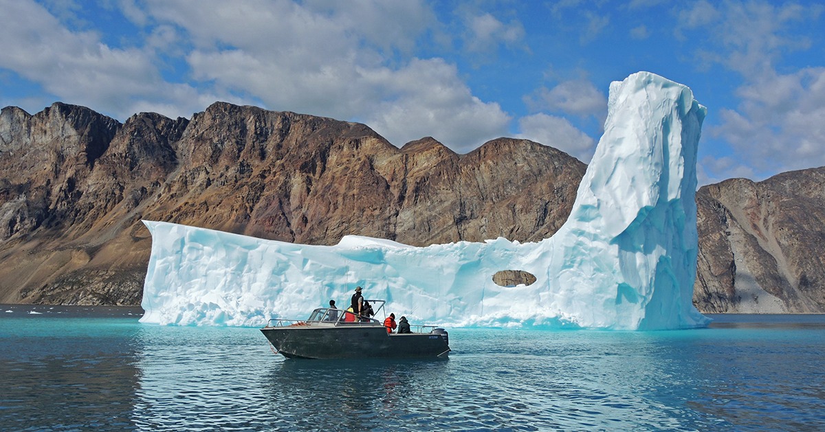Polar Bears and Glacier Safari
