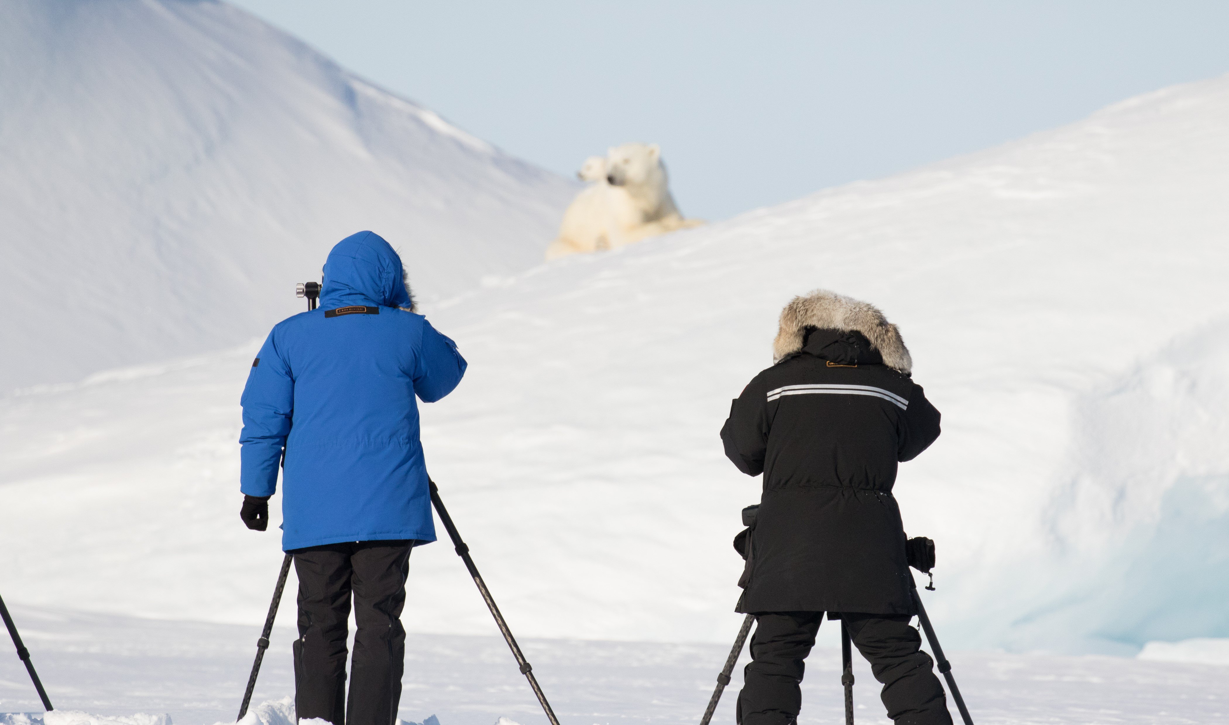 5 Unique Photography Angles on an Arctic Safari