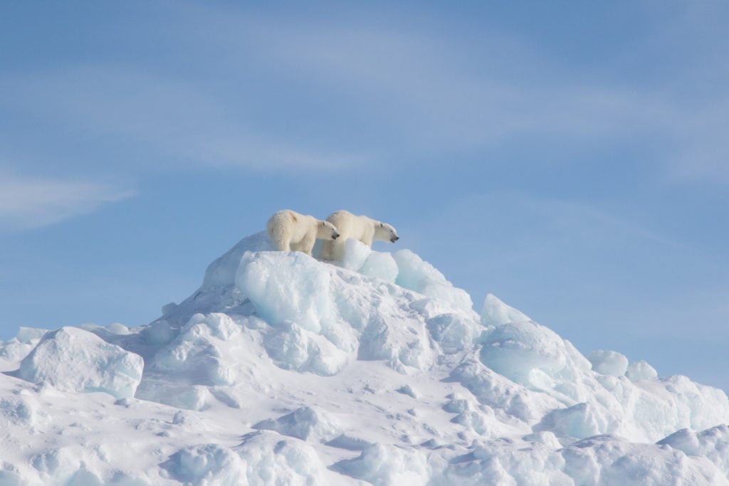 Spring Thaw in the Arctic