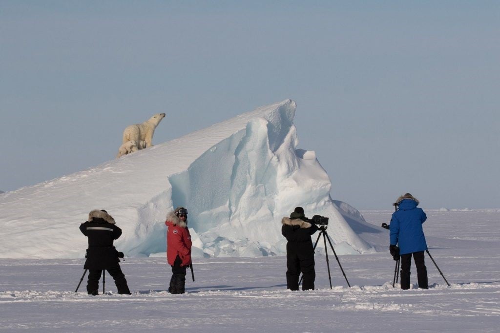 Expedition Leader Spotlight: Arctic Explorers by Profession, Photographers by Passion