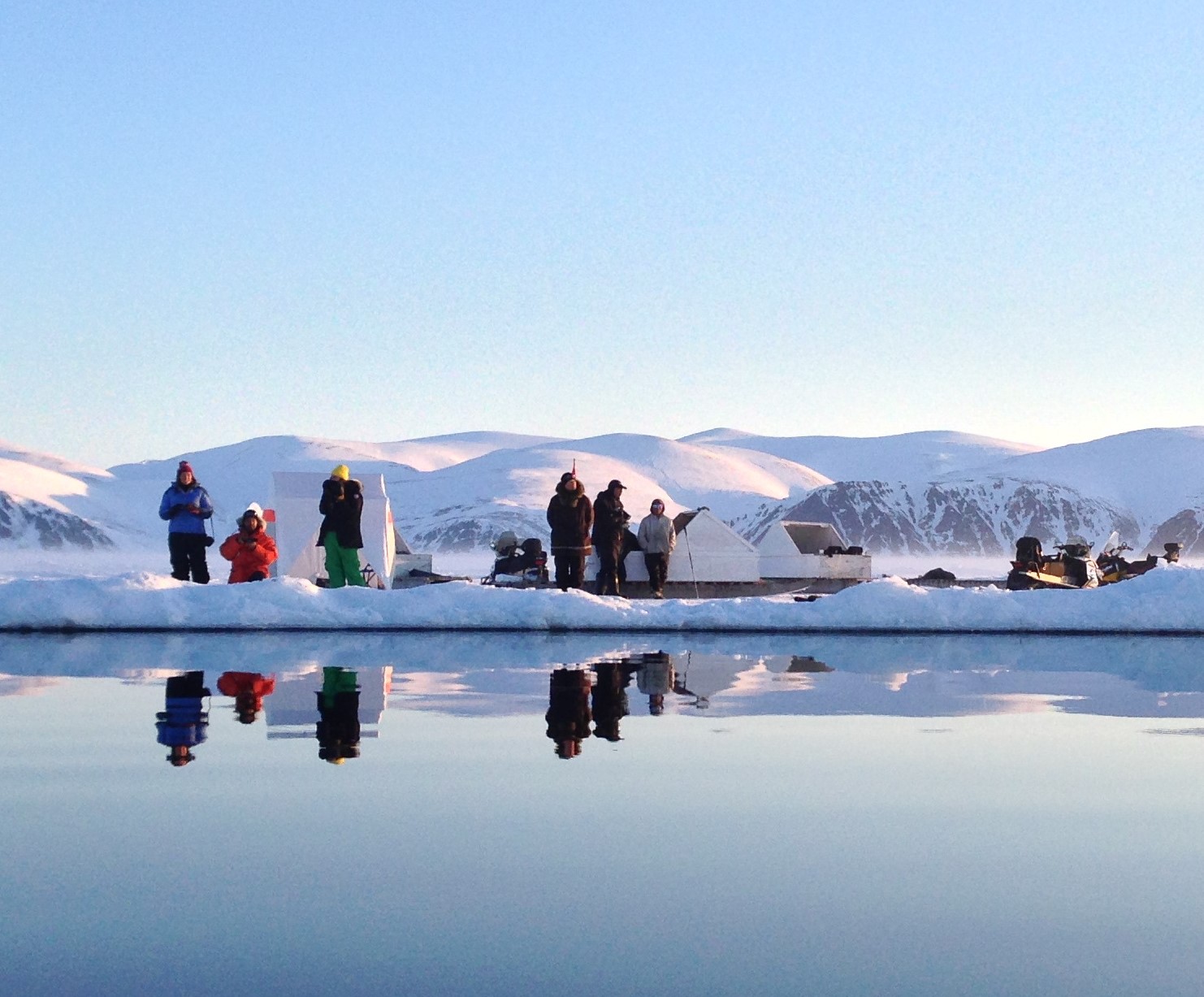 Land-Based Safaris vs. Cruise Tours in the Arctic