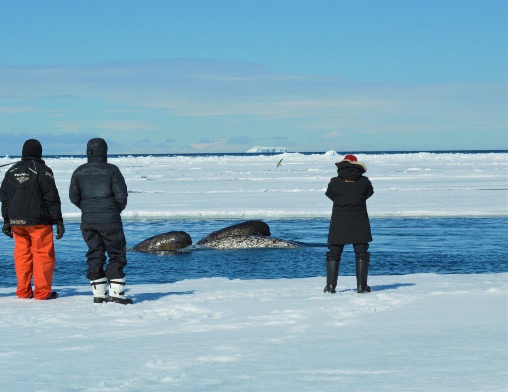 National Geographic’s Article Features Arctic Kingdom’s Dave Briggs