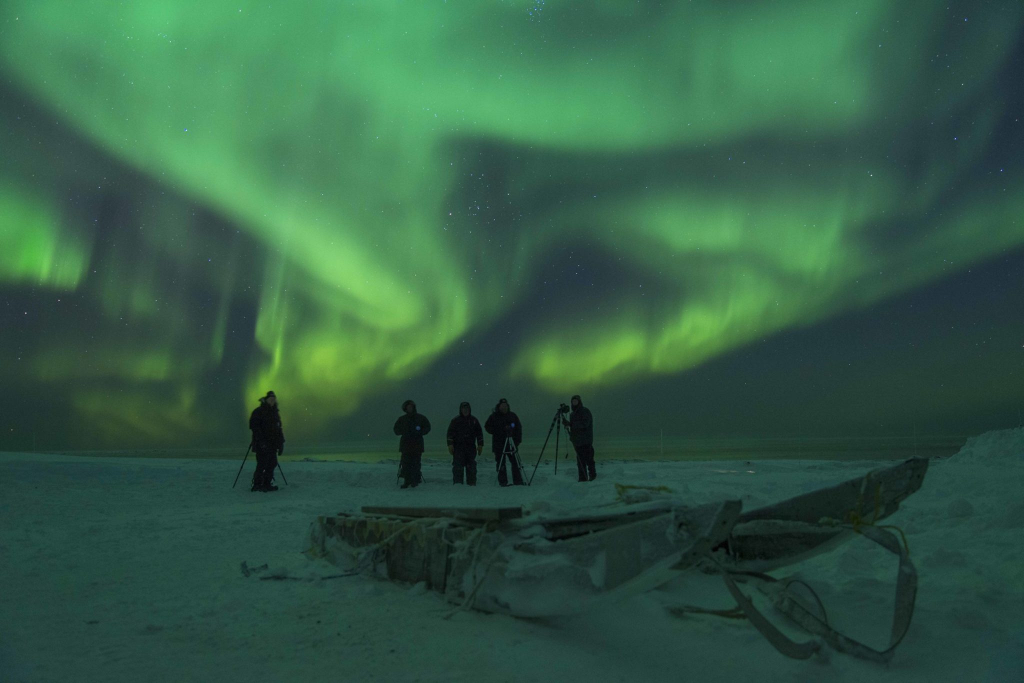 Top 2 bucket list experiences in the Arctic: Polar Bears & Northern Lights