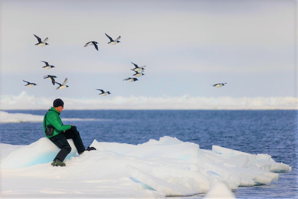 Visiting the Arctic in May