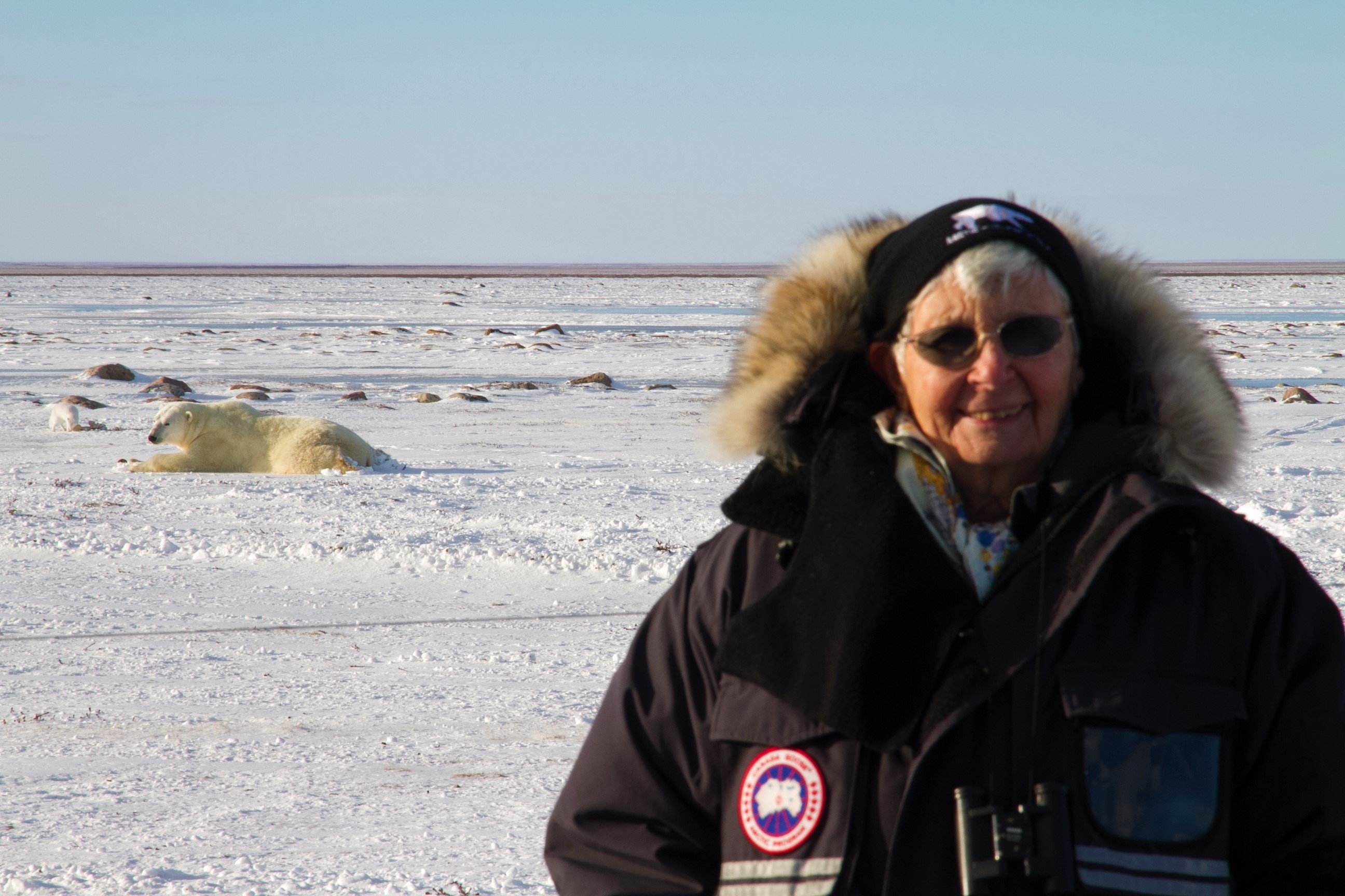 People & Polar Bear Photobombing