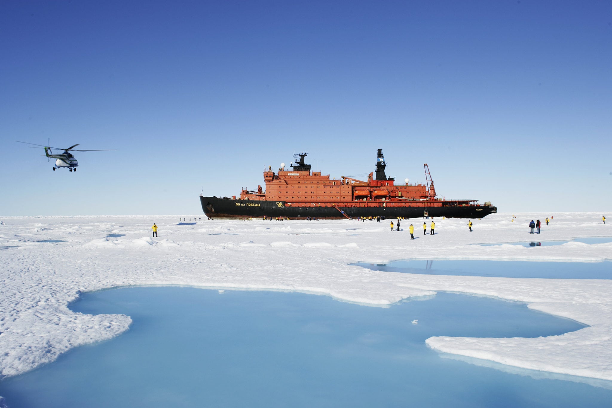 Antarctic & Arctic Cruises Set the Course for Adventure