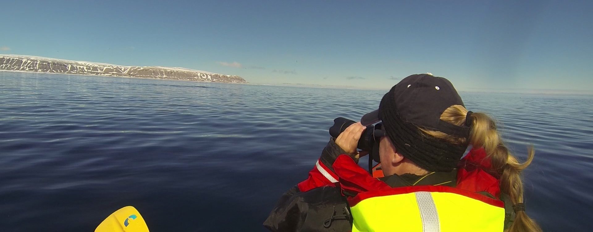 Kayaking in the Arctic With Narwhal