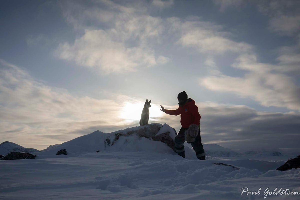 Arctic explorer