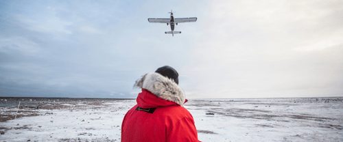 Polar Bear Migration Fly-In Safari